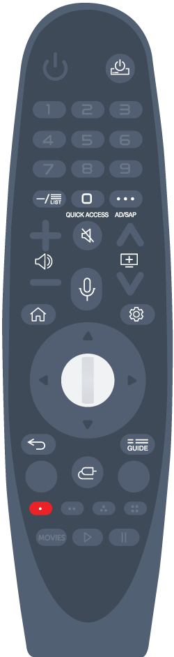 Magic Remote