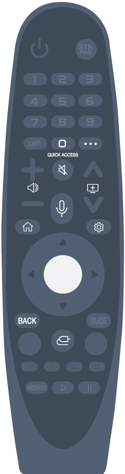 Magic Remote