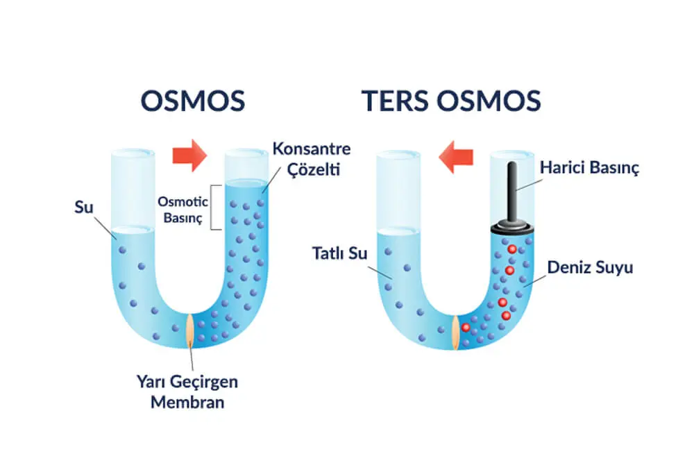 Осмос не течет вода. Осмос. Обратный осмос. Осмос в разрезе. Осмос схема процесса.